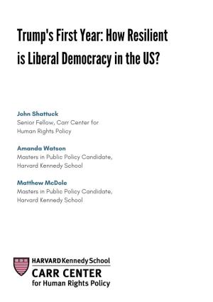 Trump's First Year: How Resilient Is Liberal Democracy in the US?