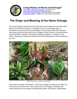 The Origin and Meaning of the Name Chicago
