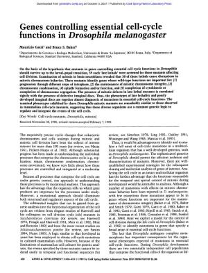 Genes Controlling Essential Cell-Cycle Functions in Drosophila Melanogaster