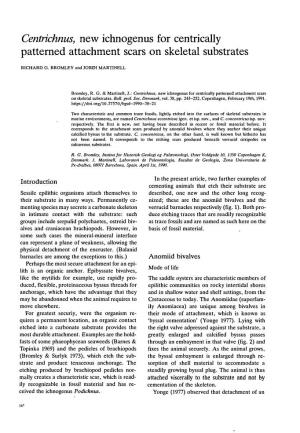 Bulletin of the Geological Society of Denmark, Vol. 38/3-4, Pp. 243-252
