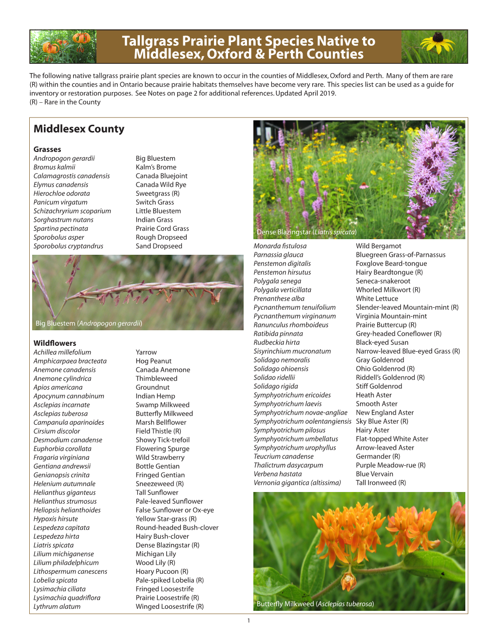Tallgrass Prairie Plant Species Native to Middlesex, Oxford & Perth Counties