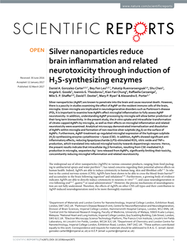 Silver Nanoparticles Reduce Brain Inflammation and Related