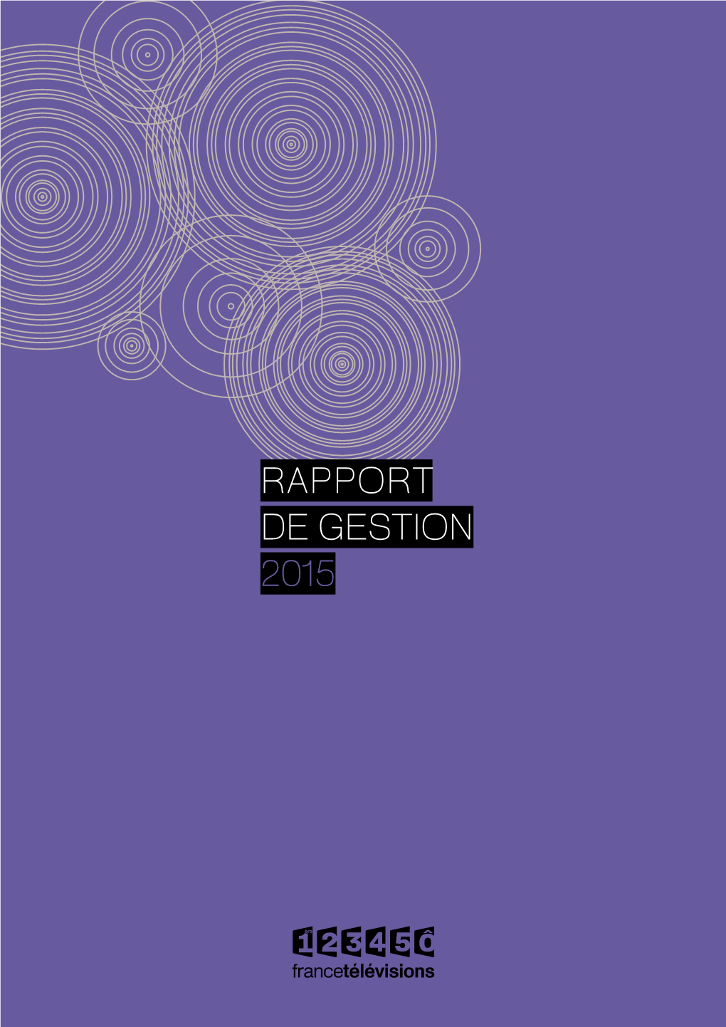 Rapport De Gestion 2015