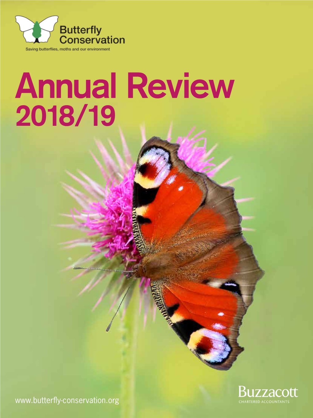 Annual Review for 2018/19
