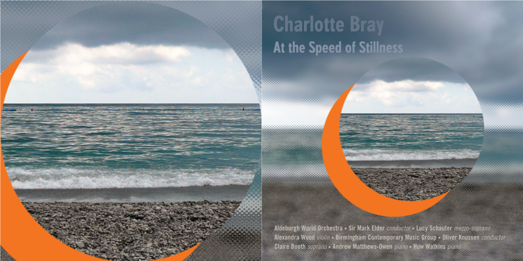 Charlotte Bray at the Speed of Stillness