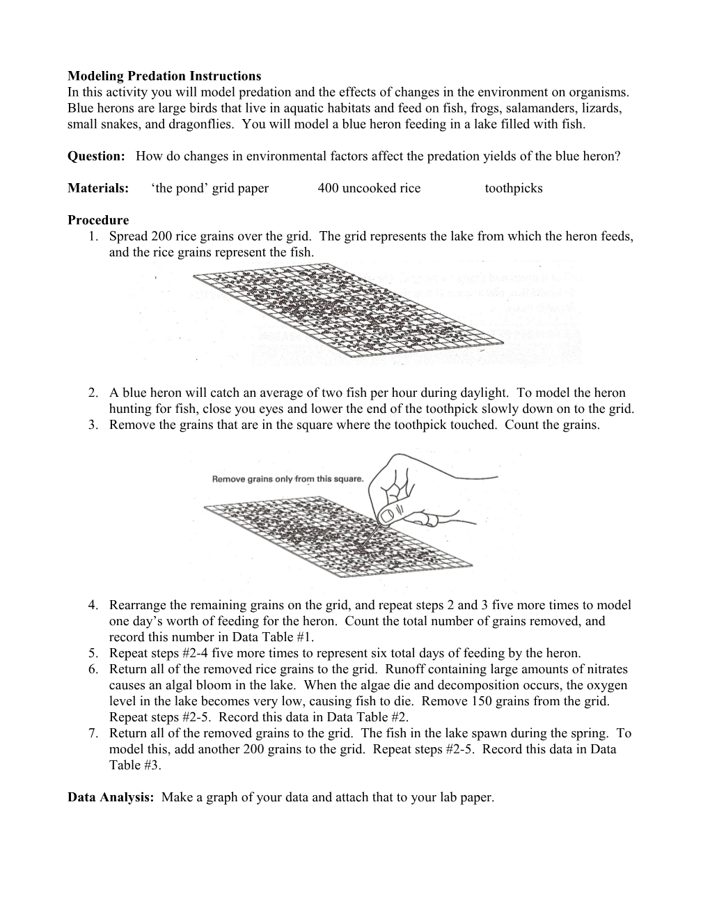 Modeling Predation Instructions