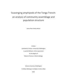 Scavenging Amphipods of the Tonga Trench: an Analysis of Community Assemblage and Population Structure