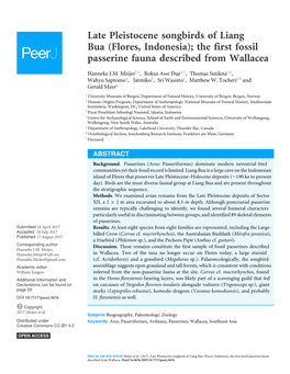 Late Pleistocene Songbirds of Liang Bua (Flores, Indonesia); the First Fossil Passerine Fauna Described from Wallacea