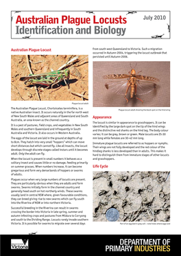 Australian Plague Locusts Identification and Biology