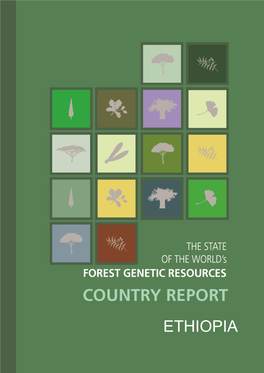 Ethiopia: the State of the World's Forest Genetic Resources