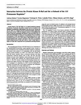 Interaction Between the Protein Kinase B-Raf and the A-Subunit of the IIS Proteasome Regulator1