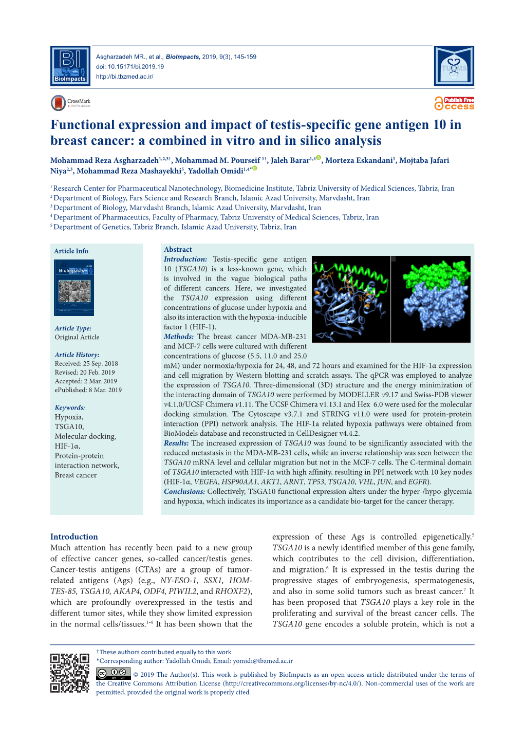 Functional Expression and Impact of Testis-Specific