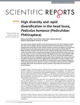 High Diversity and Rapid Diversification in the Head Louse, Pediculus