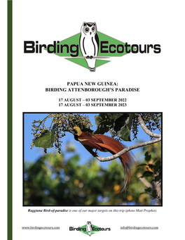Papua New Guinea: Birding Attenborough’S Paradise