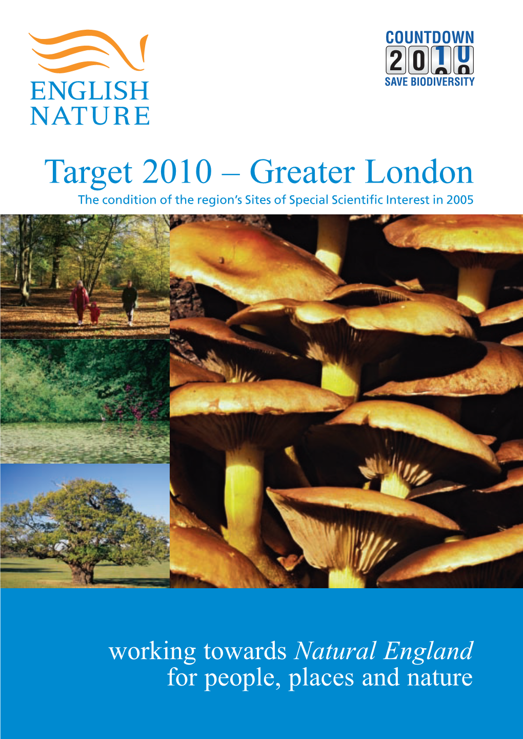 Target 2010 Greater London. the Condition of the Region's Sssis