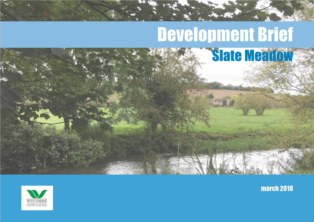 Slate Meadow Development Brief