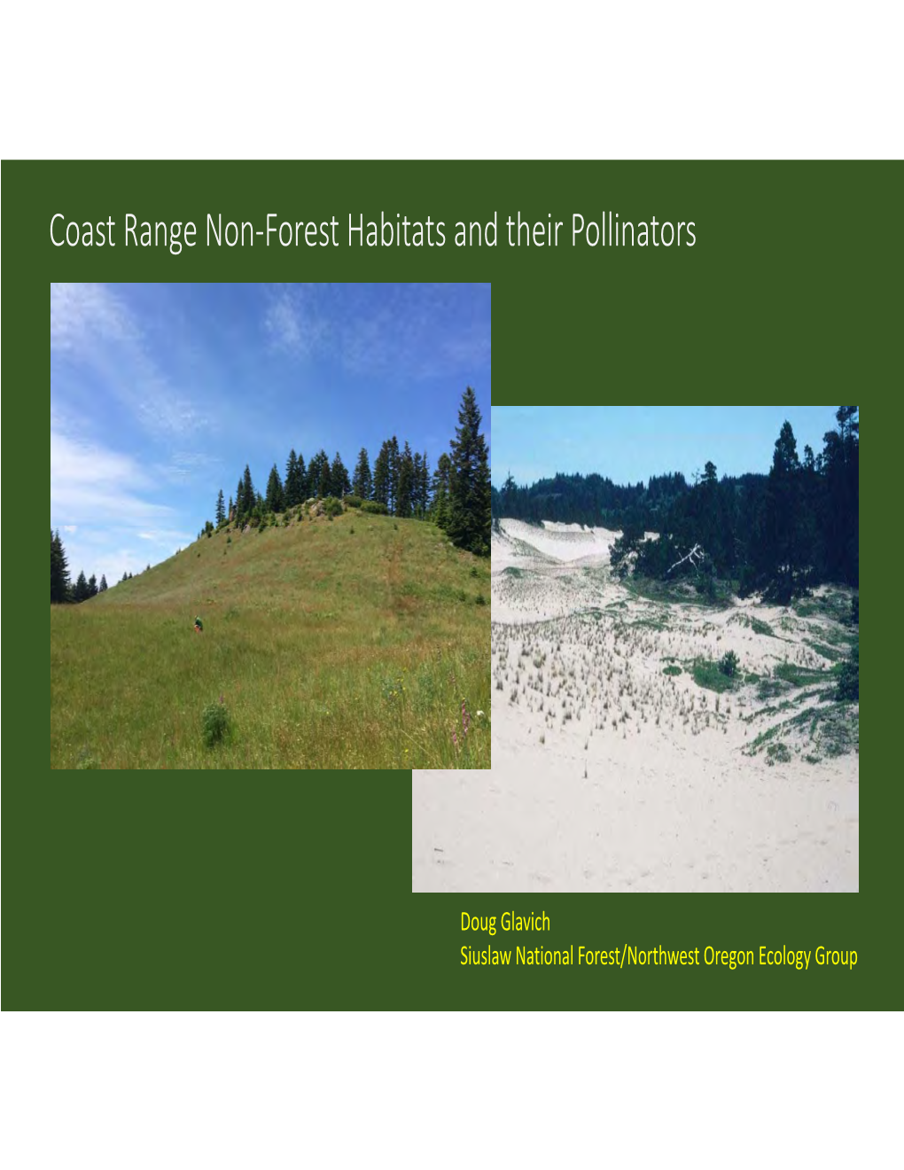 Coast Range Non‐Forest Habitats and Their Pollinators