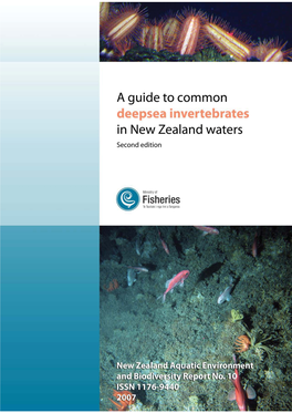 Deepsea Invertebrate Guide A