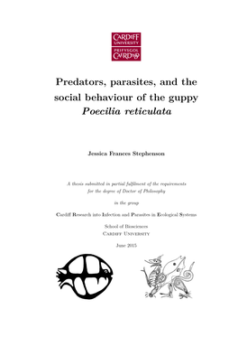Predators, Parasites, and the Social Behaviour of the Guppy [0.4Cm