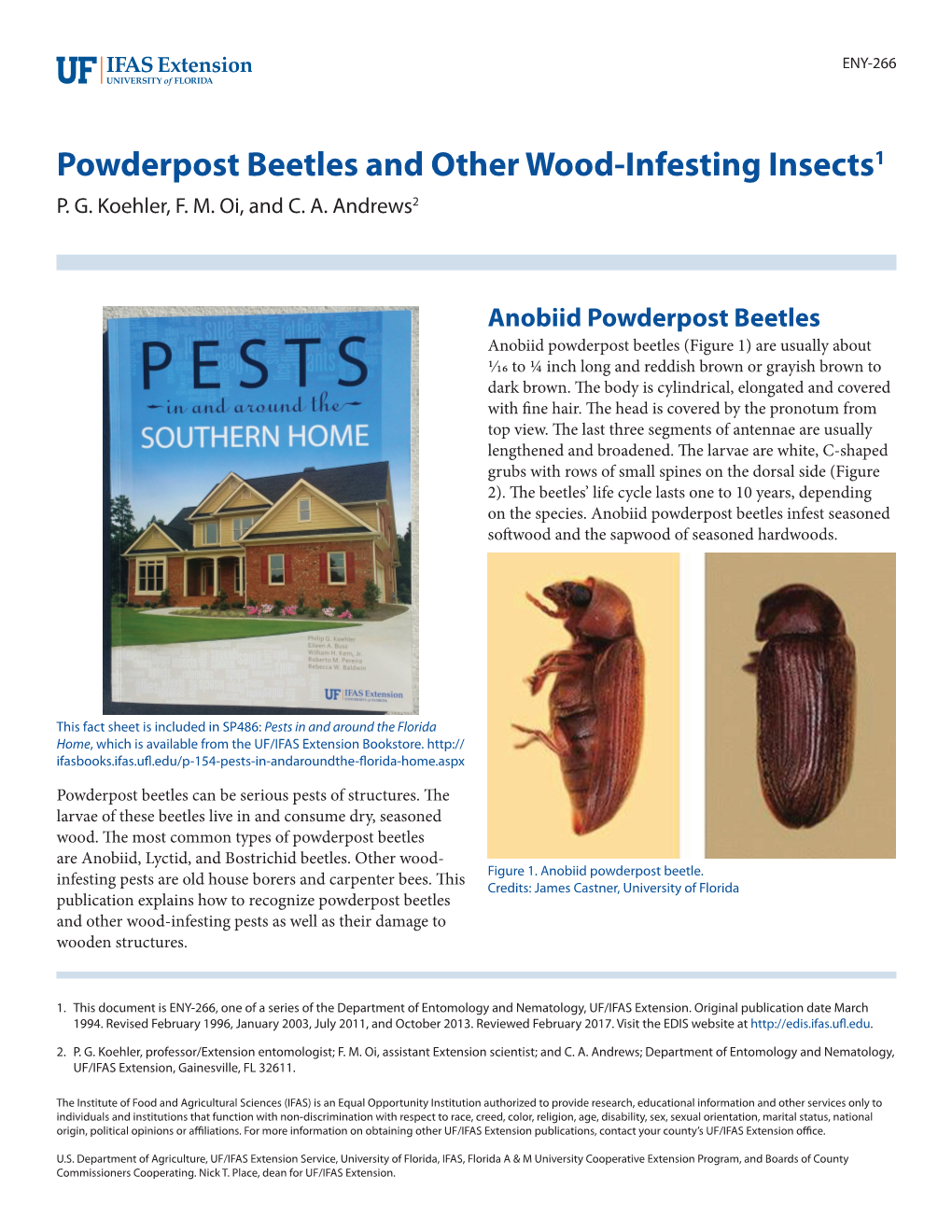 Powderpost Beetles and Other Wood-Infesting Insects1 P