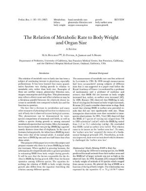 The Relation of Metabolic Rate to Body Weight and Organ Size