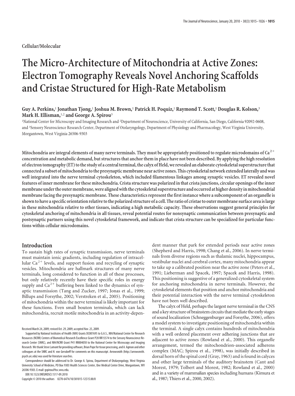 The Micro-Architecture of Mitochondria at Active Zones: Electron Tomography Reveals Novel Anchoring Scaffolds and Cristae Structured for High-Rate Metabolism