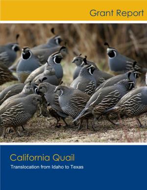 Grant Report California Quail