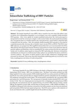 Intracellular Trafficking of HBV Particles