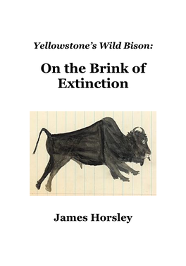 James Horsley, Yellowstone's Wild Bison on the Brink of Extinction