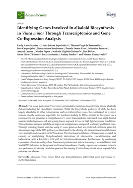 Identifying Genes Involved in Alkaloid Biosynthesis in Vinca Minor Through Transcriptomics and Gene Co-Expression Analysis