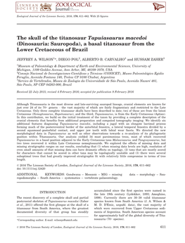 The Skull of the Titanosaur Tapuiasaurus Macedoi (Dinosauria: Sauropoda), a Basal Titanosaur from the Lower Cretaceous of Brazil