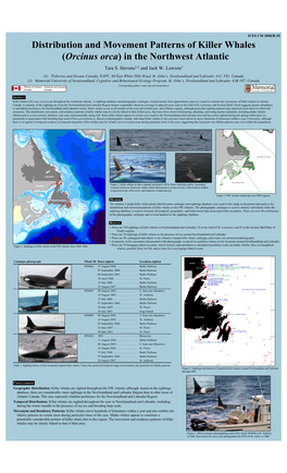 Distribution and Movement Patterns of Killer Whales (Orcinus Orca) in the Northwest Atlantic. ICES CM 2008/B:20