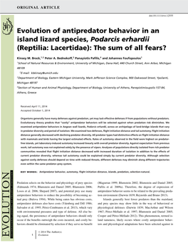 Evolution of Antipredator Behavior in an Island Lizard Species, &lt;I