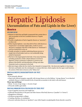 Hepatic Lipidosis