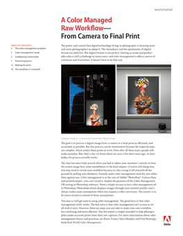 A Color Managed Raw Workflow—From Camera to Final Print