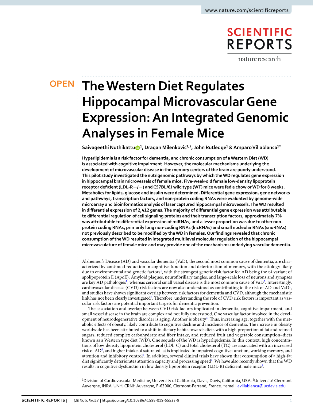 The Western Diet Regulates Hippocampal Microvascular Gene
