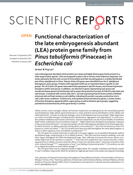 Functional Characterization of the Late Embryogenesis