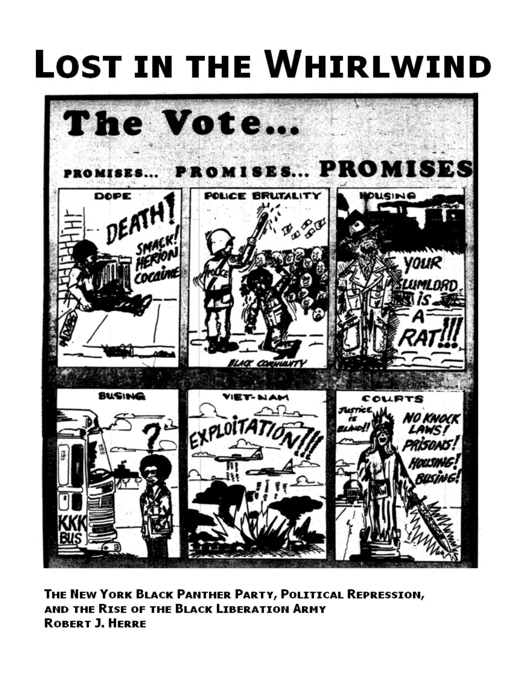 LOST in the WHIRLWIND: the New York Black Panther Party, Political Repression, and the Rise of the Black Liberation Army