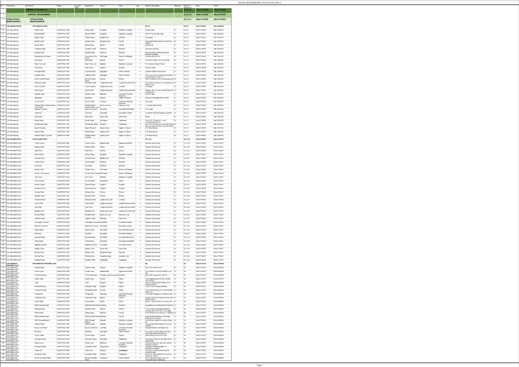 Annual Plan 20 21 Cllrs