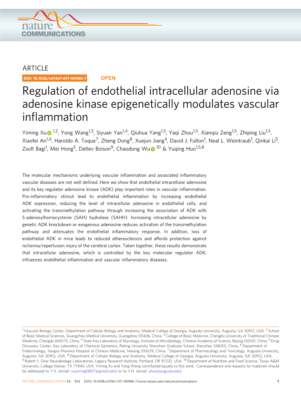 Regulation of Endothelial Intracellular Adenosine Via Adenosine Kinase Epigenetically Modulates Vascular Inﬂammation