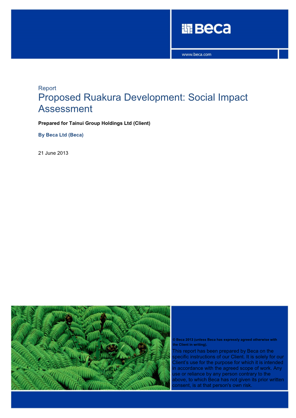 Social Impact Assessment