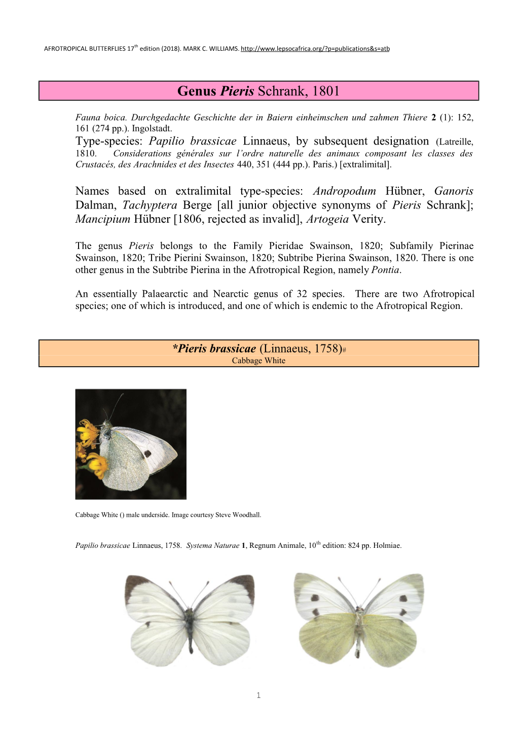 269 Genus Pieris Schrank