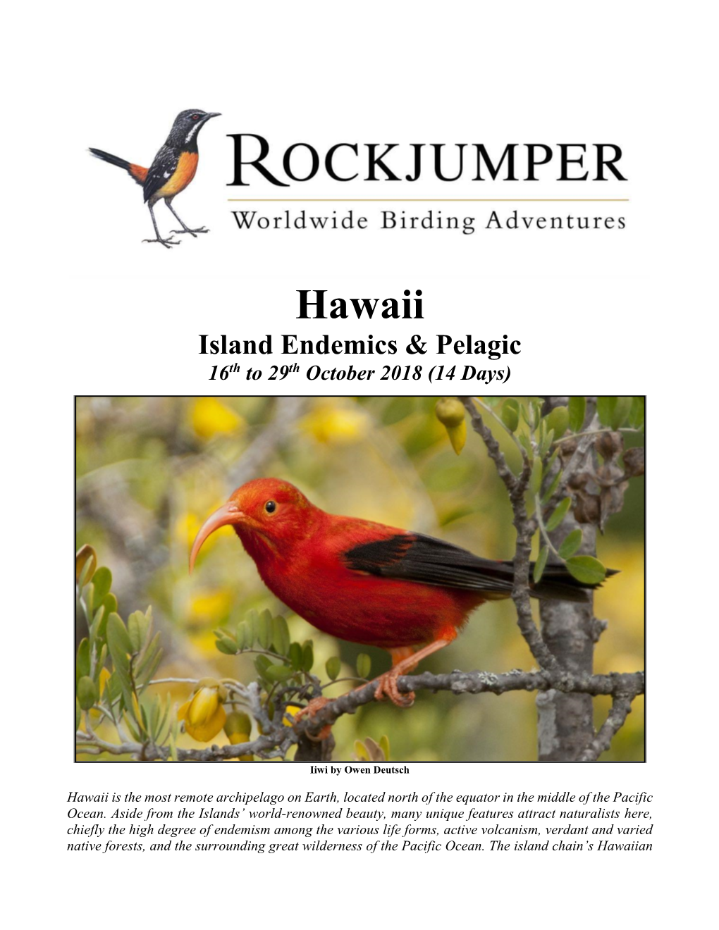 Hawaii Island Endemics & Pelagic 16Th to 29Th October 2018 (14 Days)