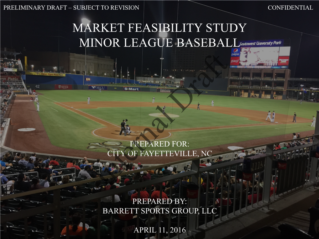 Market Feasibility Study Minor League Baseball
