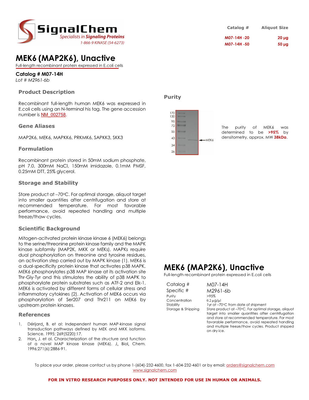 MEK6 (MAP2K6), Unactive Full-Length Recombinant Protein Expressed in E.Coli Cells