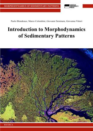Introduction to Morphodynamics of Sedimentary Patterns