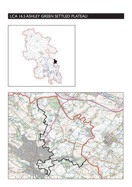 Lca 16.5 Ashley Green Settled Plateau
