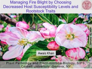 Managing Fire Blight by Choosing Decreased Host Susceptibility Levels and Rootstock Traits , 2020 , January 15 January