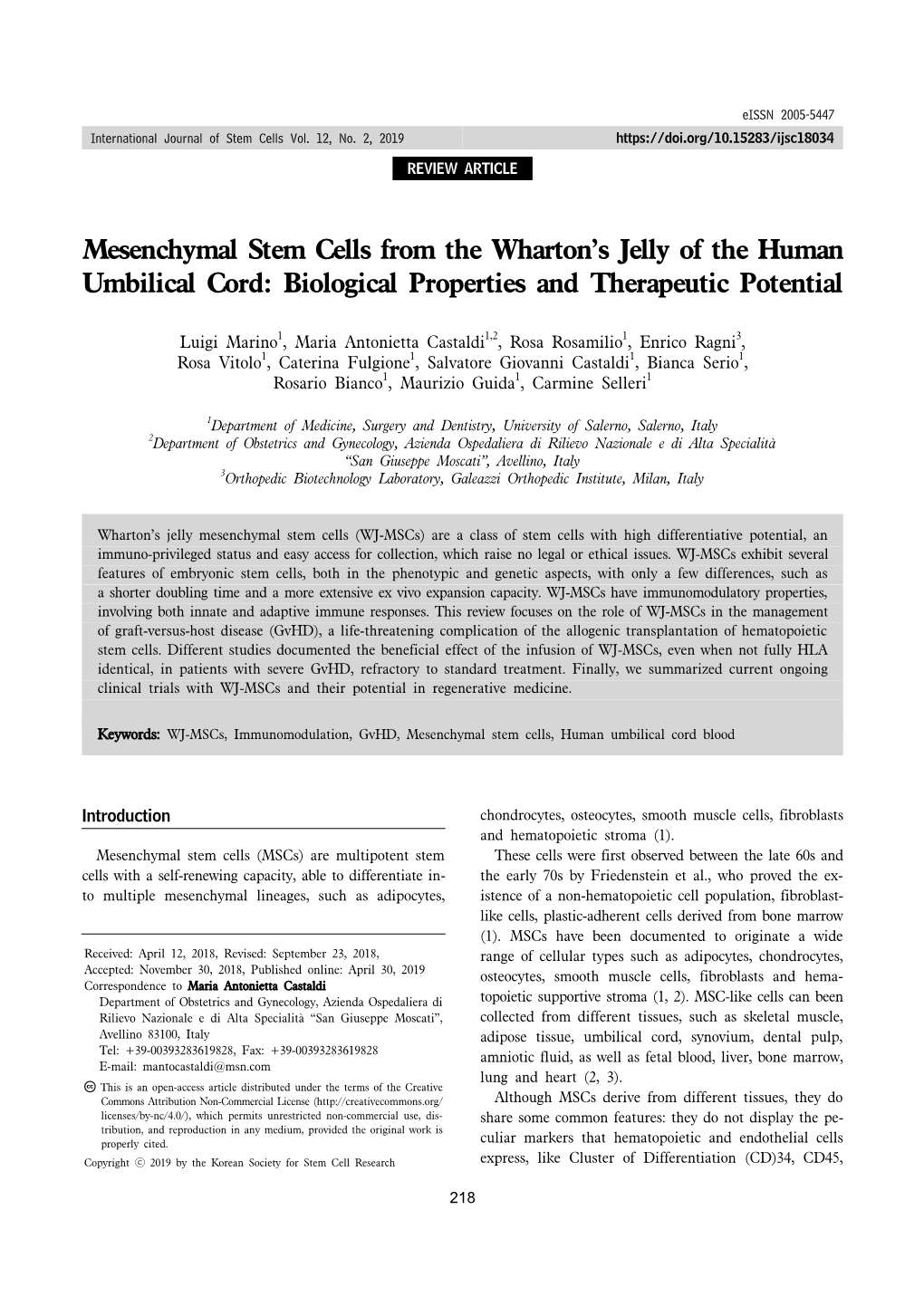 Mesenchymal Stem Cells from the Wharton's Jelly of the Human