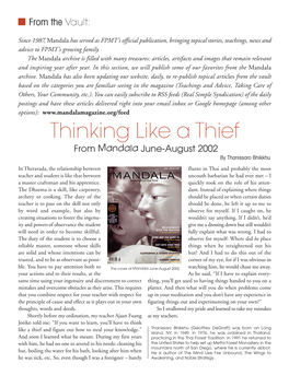 Thinking Like a Thief from Mandala June-August 2002 by Thanissaro Bhikkhu
